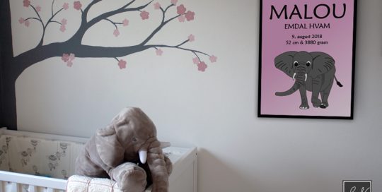 elefant plakat SN mediegrafiker